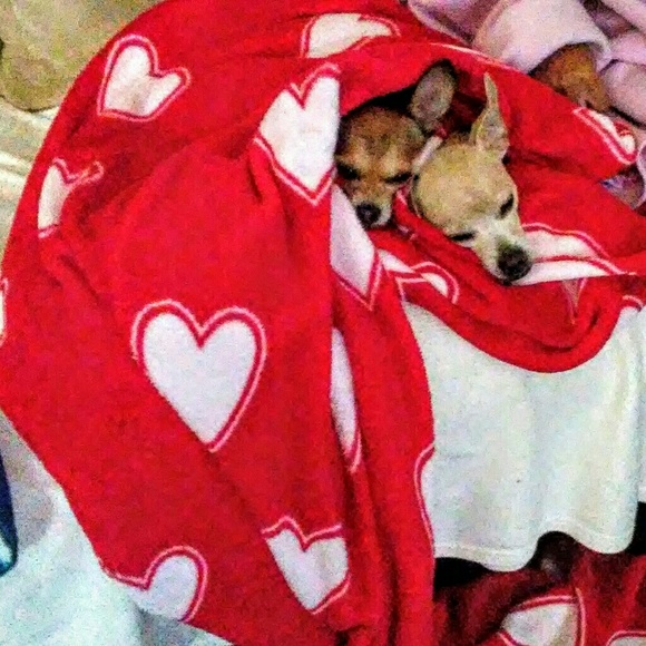 Meet your Posher, Betty - Picture 8 of 13